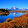 Fall